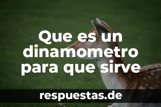 Qué es un comité de bioética y para qué sirve 7 Que es un dinamometro para que sirve