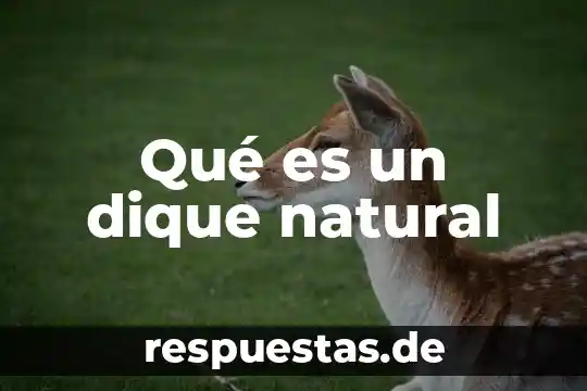 Que es el patrimonio natural para niños 3 Qué es un dique natural
