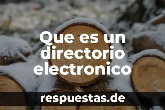 Que es un directorio electronico
