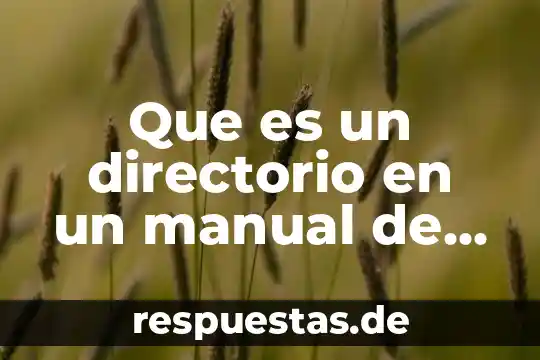 Qué es un manual de organización tesis 4 Que es un directorio en un manual de organizacion