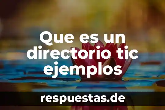 Que es sufijo latino ejemplos 3 Que es un directorio tic ejemplos