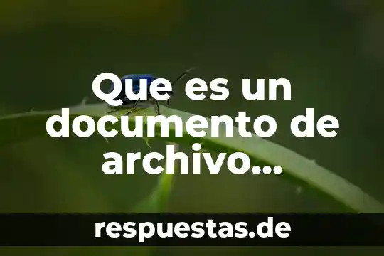 Que es un documento de archivo electronico