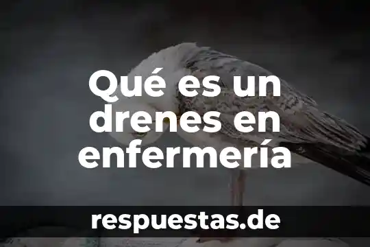 Qué es sarmiento definición de enfermería 7 Qué es un drenes en enfermería