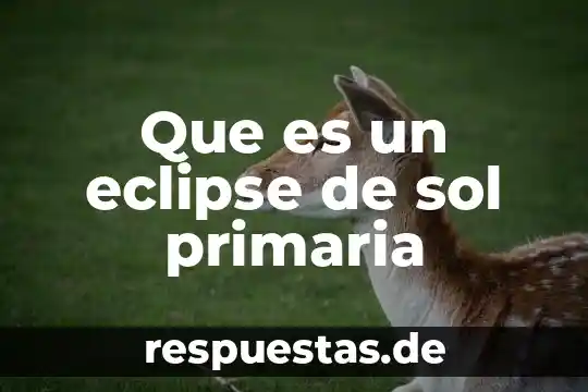 Qué es atención primaria en salud 8 Que es un eclipse de sol primaria