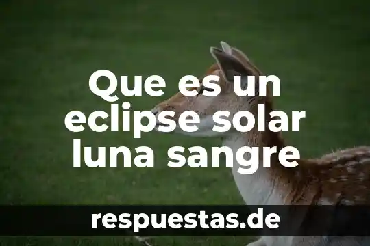 Qué es RH tipo de sangre 4 Que es un eclipse solar luna sangre
