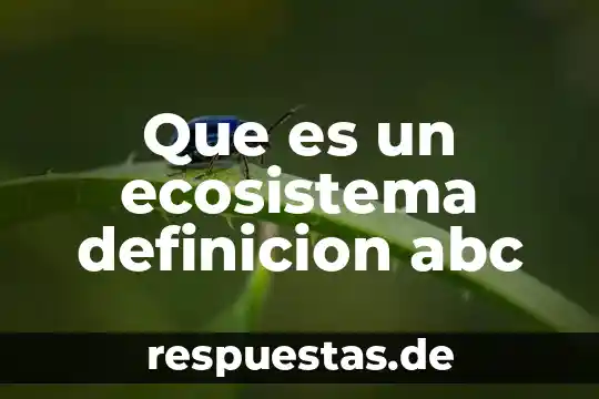 Que es la genealogía la historia definicion abc 6 Que es un ecosistema definicion abc