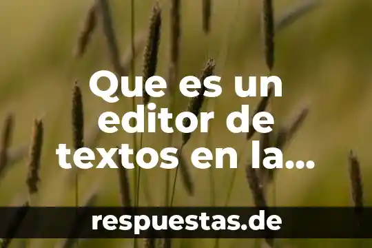 Qué es editor de música 6 Que es un editor de textos en la nube