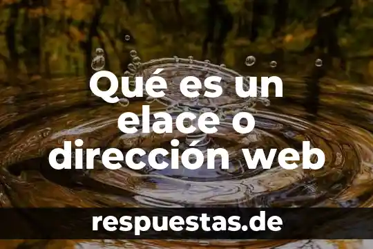 Qué es un elace o dirección web
