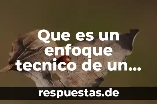 Que es bueno para los nervios y estres 4 Que es un enfoque tecnico de un proyecto de inversion