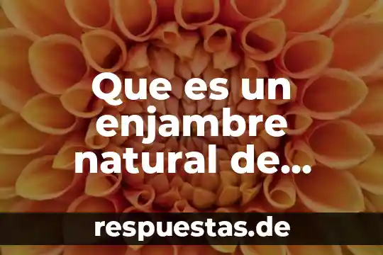 Belleza natural que es 8 Que es un enjambre natural de abejas