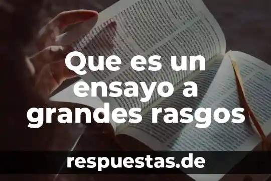Que es un ensayo a grandes rasgos
