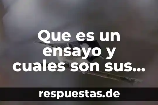 Qué es número de oxidación y cuáles son sus reglas 3 Que es un ensayo y cuales son sus caracteristicas formal