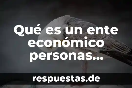 Qué es un ente económico personas morales