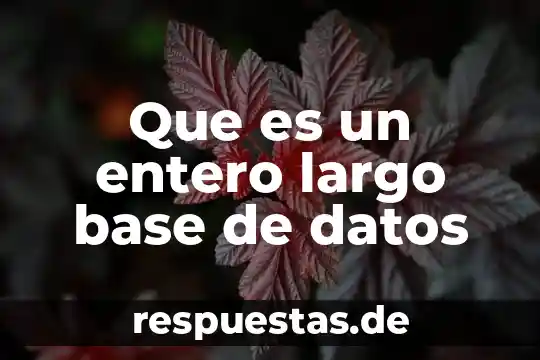 Que es una base de datos bien explicado el significado 5 Que es un entero largo base de datos