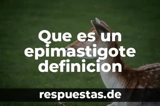 Qué es antonimia definición 3 Que es un epimastigote definicion