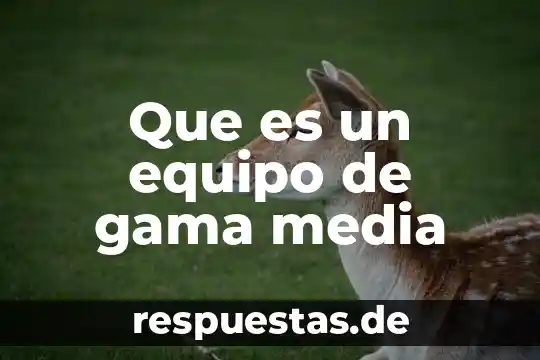 Qué es una media ponderada 5 Que es un equipo de gama media