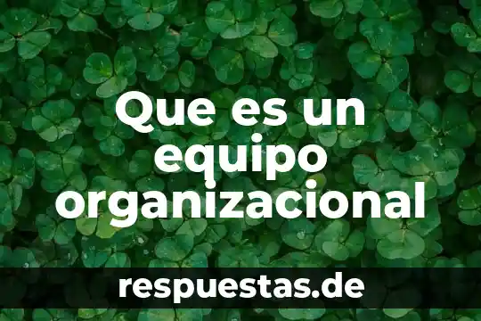 Que es una ideología organizacional 6 Que es un equipo organizacional