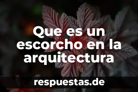 Que es la arquitectura segun balkrishna doshi 8 Que es un escorcho en la arquitectura