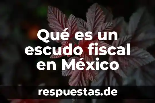 Que es un datil en mexico 4 Qué es un escudo fiscal en México