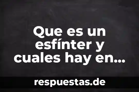 Que es el significado de estomago 5 Que es un esfínter y cuales hay en el estómago