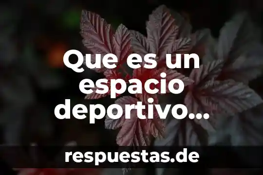 Que es contextocual es el espacio de la verdad sospechosa 4 Que es un espacio deportivo conade