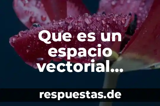 Que es el espacio en interiorismo 6 Que es un espacio vectorial algebra lineal libro