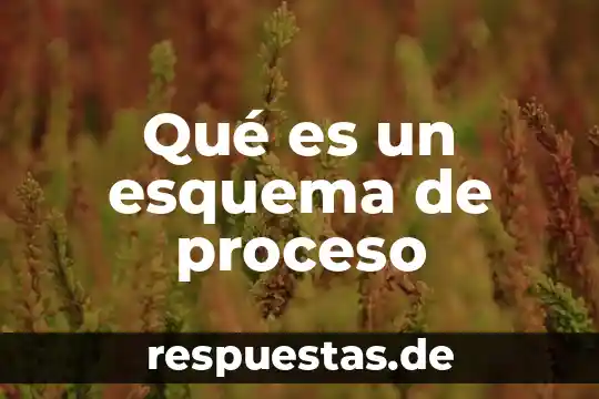 Qué es un esquema de proceso