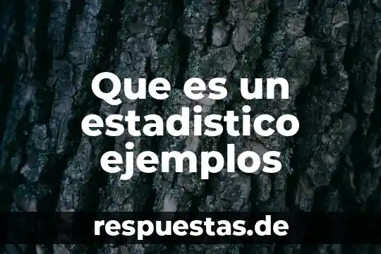 Que es una sociedad ejemplos 3 Que es un estadistico ejemplos