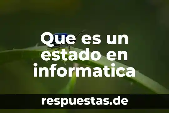 Qué es un gasto en derecho 8 Que es un estado en informatica