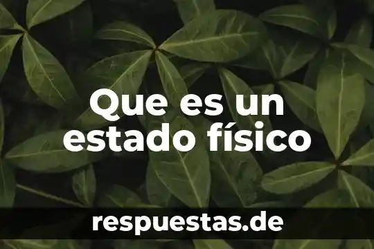 Que es un estado físico