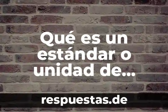 Qué es un estándar o unidad de medida
