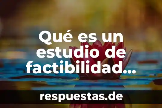 Qué es un estudio de factibilidad modelado