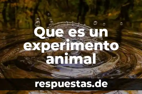 Que es una clase de animal 8 Que es un experimento animal