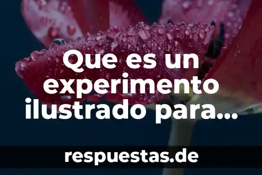 Que es el movimiento ilustrado 4 Que es un experimento ilustrado para niños