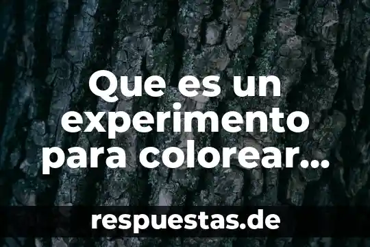 Dibujos para colorear de una persona que es ta explicando 3 Que es un experimento para colorear significado