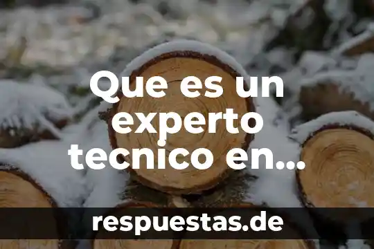 Que es la auditoria legal en capital humano 5 Que es un experto tecnico en auditoria