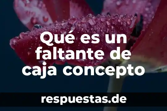 Qué es la guayaba concepto 4 Qué es un faltante de caja concepto