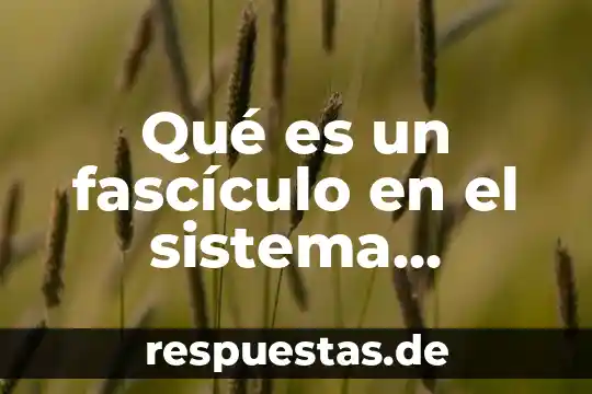 Qué es sistema animal y conformación 5 Qué es un fascículo en el sistema nervioso