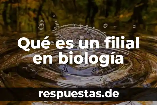 Qué es un filial en biología