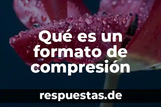 Qué es un formato de compresión
