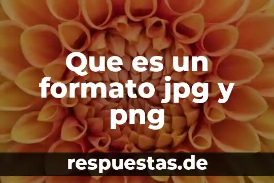 Que es un archivo jpg o jpeg 8 Que es un formato jpg y png