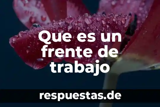 Que es el movimiento estabilizador 7 Que es un frente de trabajo