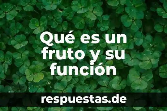Qué es significa web 8 Qué es un fruto y su función