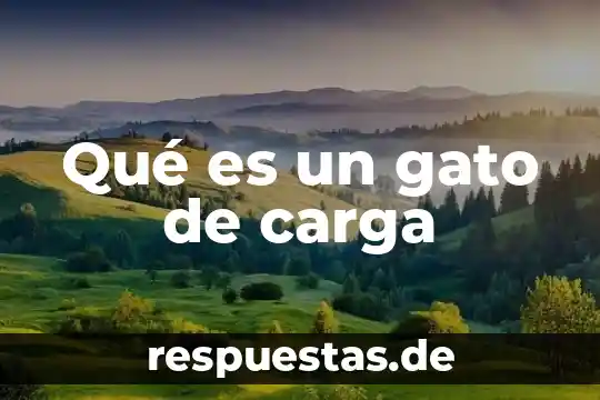 Que es la carga por razonamiento 5 Qué es un gato de carga