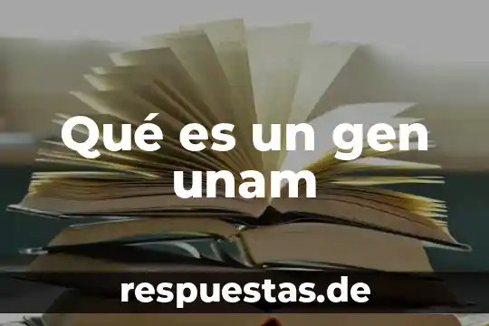 Que es la estética y la importancia como disciplina filosofica 7 Qué es un gen unam