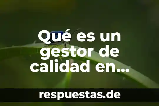 Que es un sistema gestor de bese de detos 8 Qué es un gestor de calidad en salud