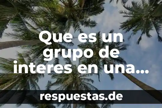 Grupo carso que es 4 Que es un grupo de interes en una empresa