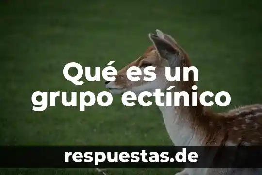 Que es un cuento maravilloso ejemplos 8 Qué es un grupo ectínico