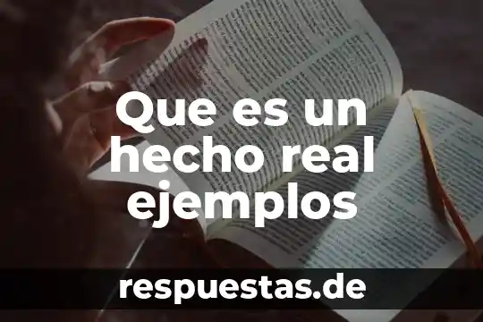 Qué es una proposición universal ejemplos 6 Que es un hecho real ejemplos