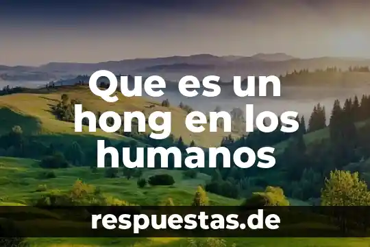 Que es libertad tipo de derechos tenemos los humanos 7 Que es un hong en los humanos